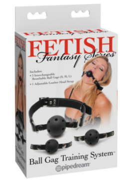 Ball Gag Training System